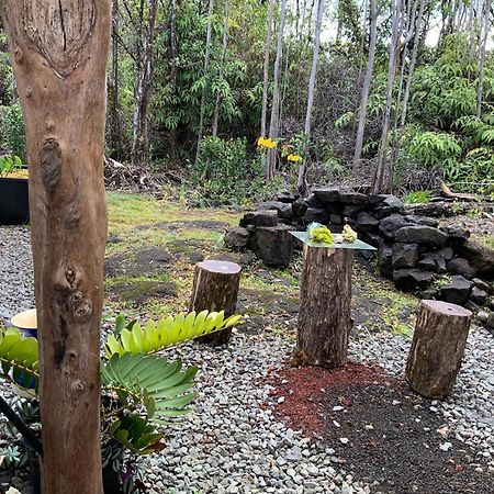 Exotic Garden Cottage At Amazing Volcano Fissure Mountain View Exteriör bild