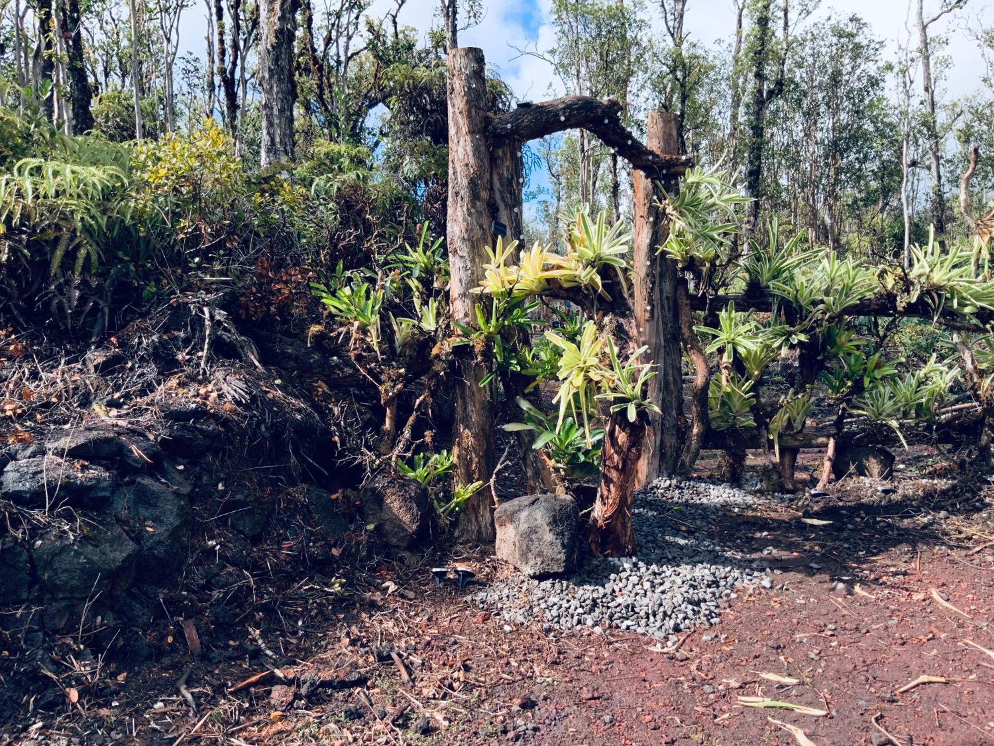 Exotic Garden Cottage At Amazing Volcano Fissure Mountain View Exteriör bild