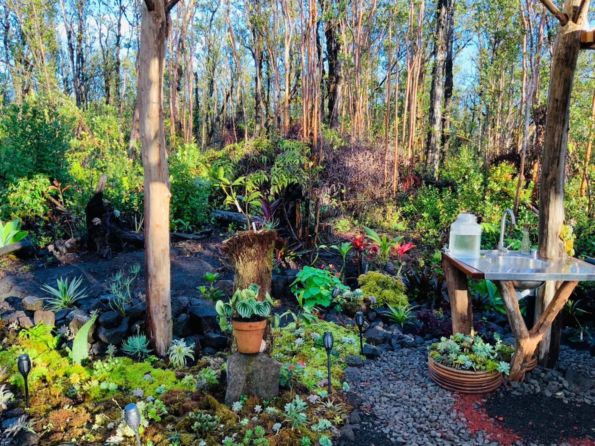 Exotic Garden Cottage At Amazing Volcano Fissure Mountain View Exteriör bild