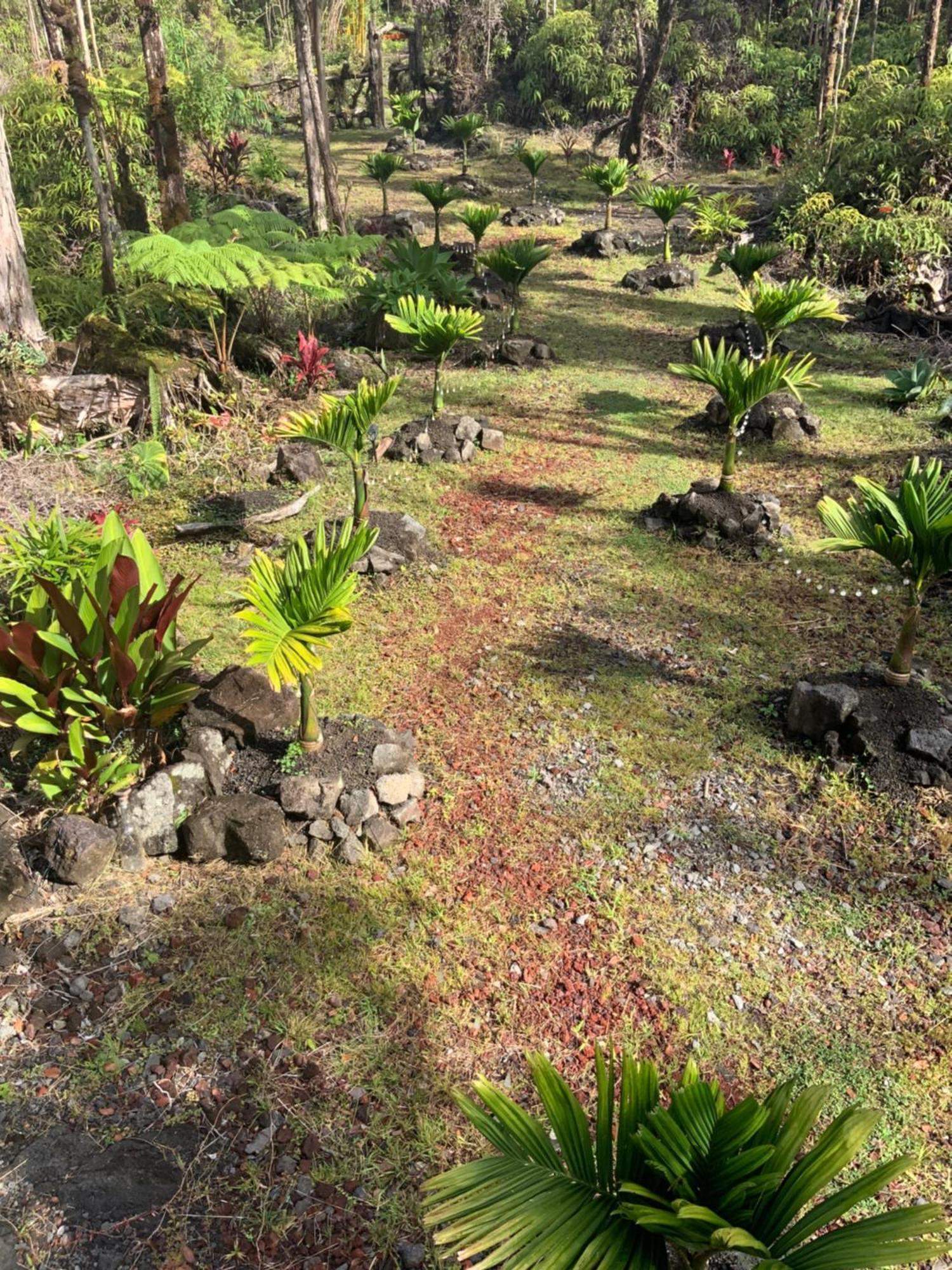 Exotic Garden Cottage At Amazing Volcano Fissure Mountain View Exteriör bild
