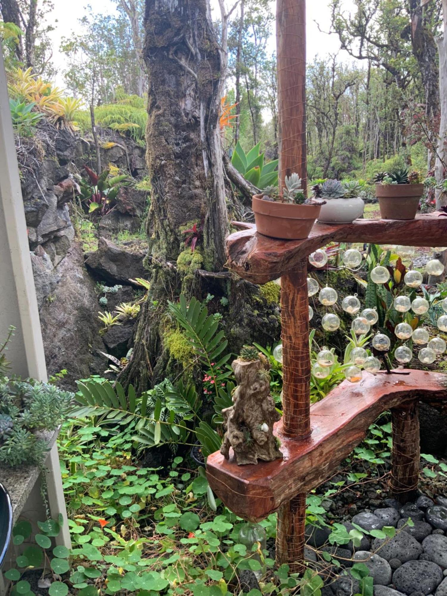 Exotic Garden Cottage At Amazing Volcano Fissure Mountain View Exteriör bild