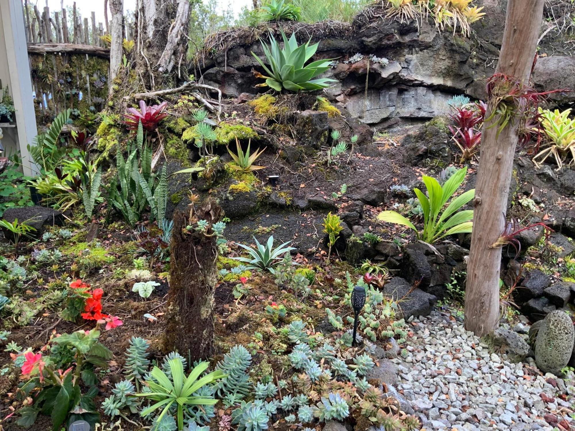 Exotic Garden Cottage At Amazing Volcano Fissure Mountain View Exteriör bild
