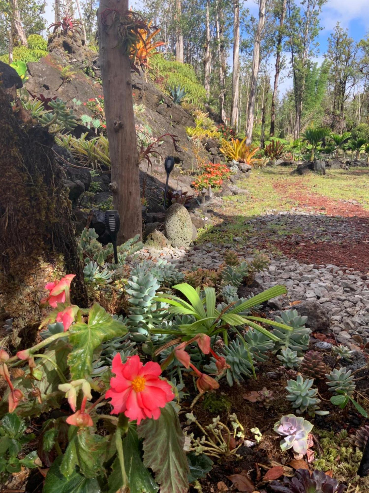 Exotic Garden Cottage At Amazing Volcano Fissure Mountain View Exteriör bild