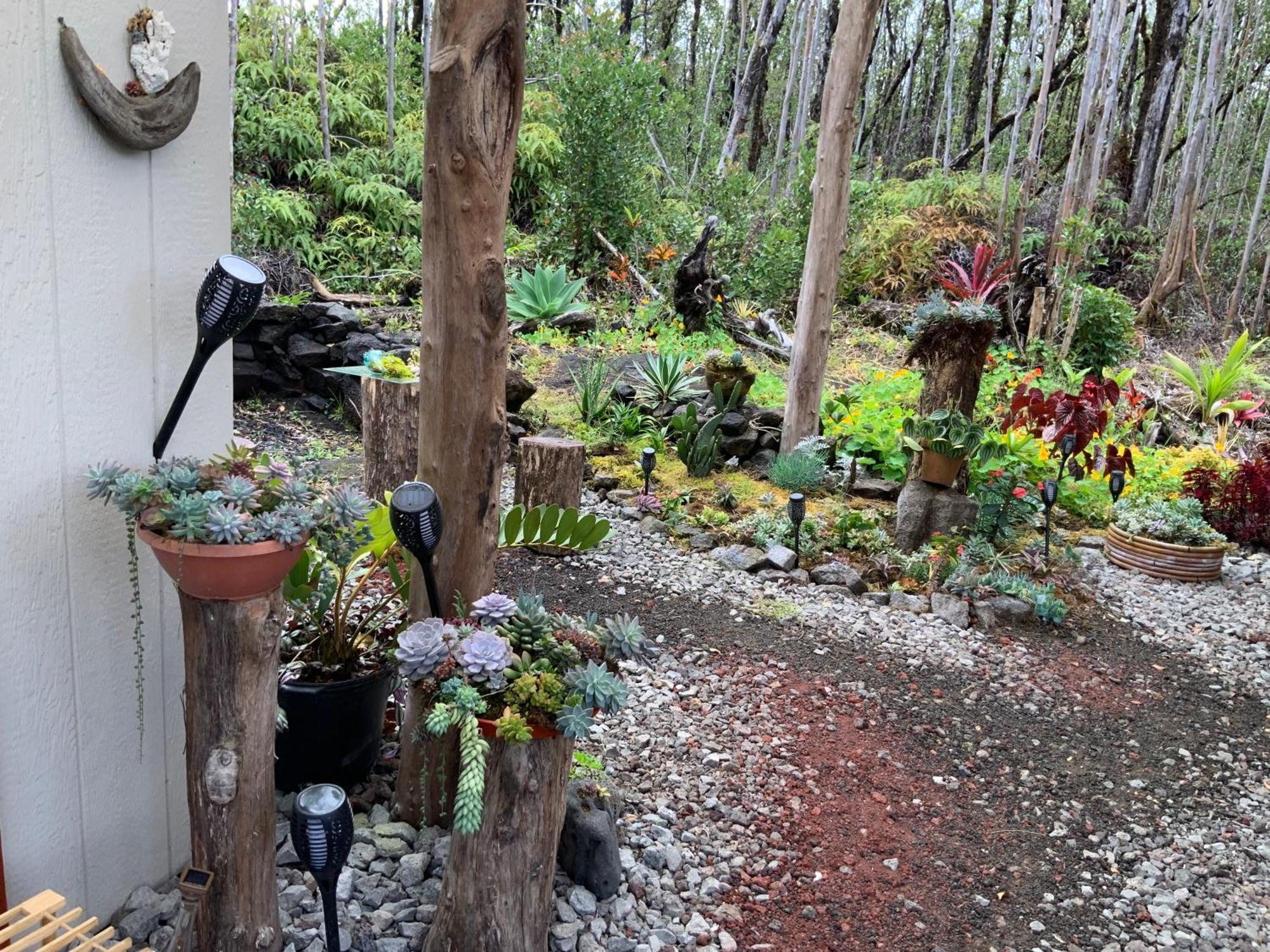 Exotic Garden Cottage At Amazing Volcano Fissure Mountain View Exteriör bild