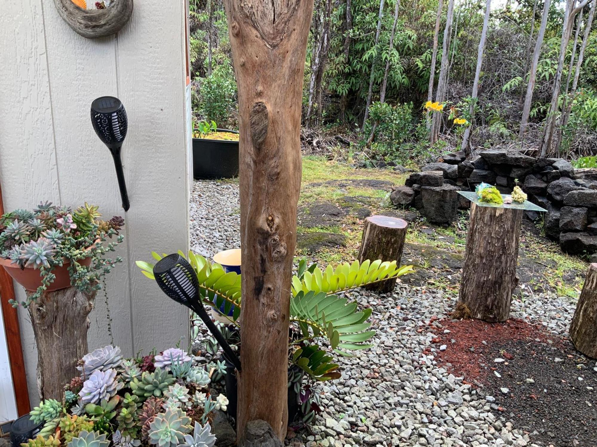 Exotic Garden Cottage At Amazing Volcano Fissure Mountain View Exteriör bild