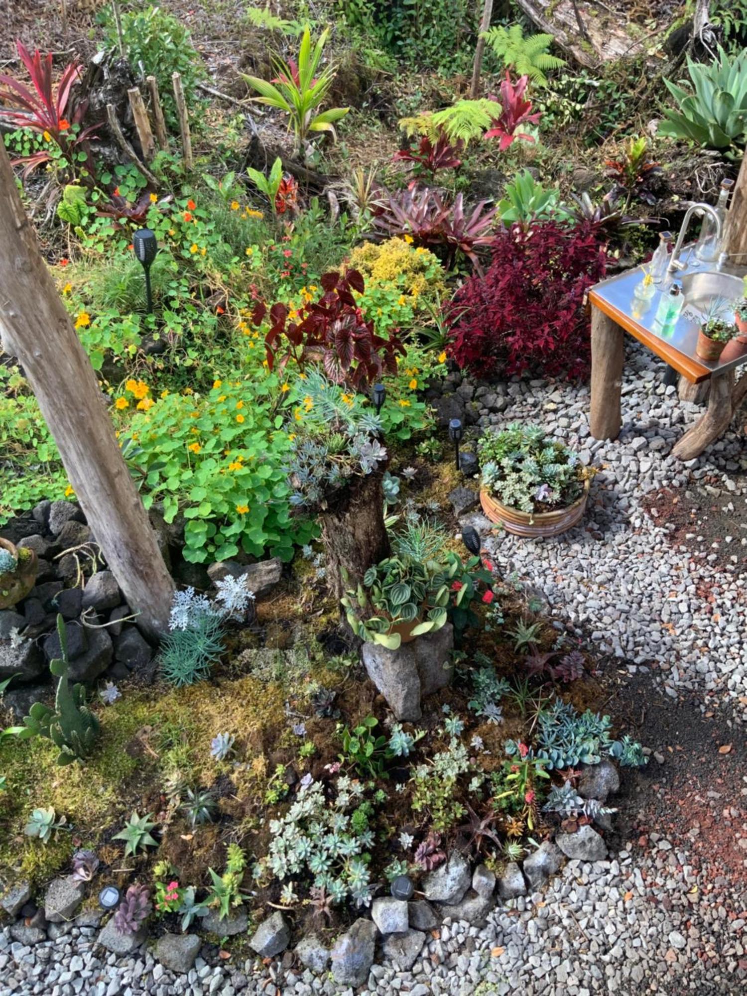 Exotic Garden Cottage At Amazing Volcano Fissure Mountain View Exteriör bild