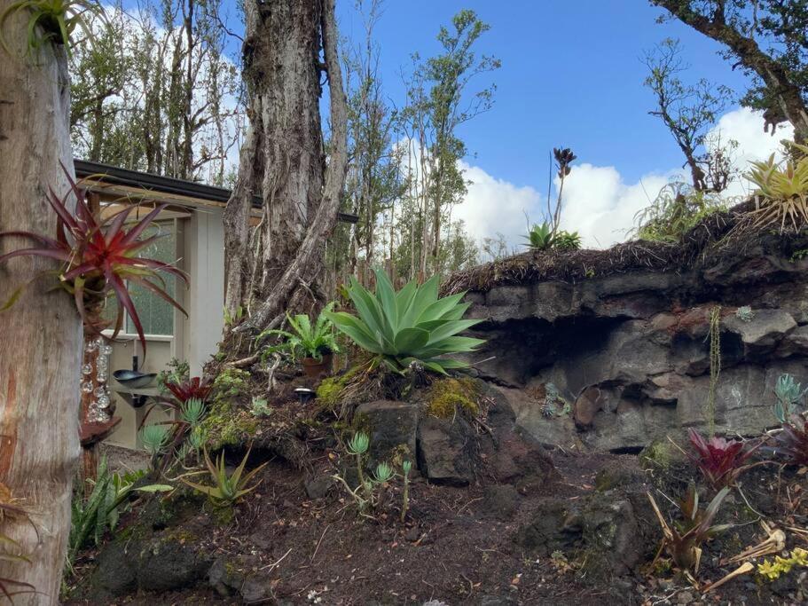 Exotic Garden Cottage At Amazing Volcano Fissure Mountain View Exteriör bild