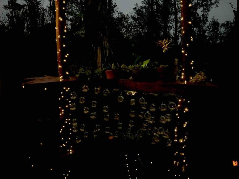 Exotic Garden Cottage At Amazing Volcano Fissure Mountain View Exteriör bild