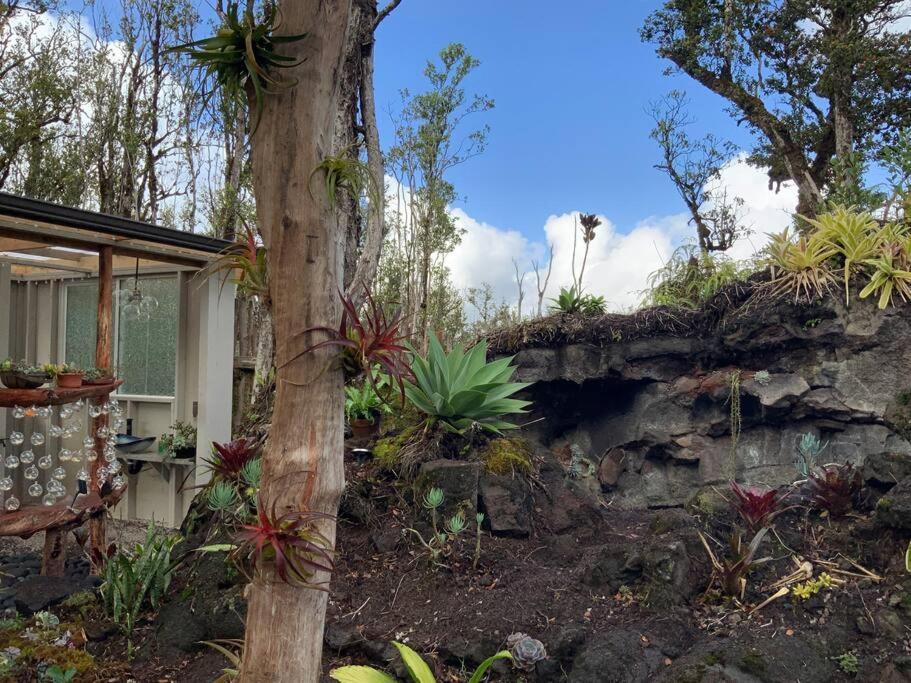Exotic Garden Cottage At Amazing Volcano Fissure Mountain View Exteriör bild
