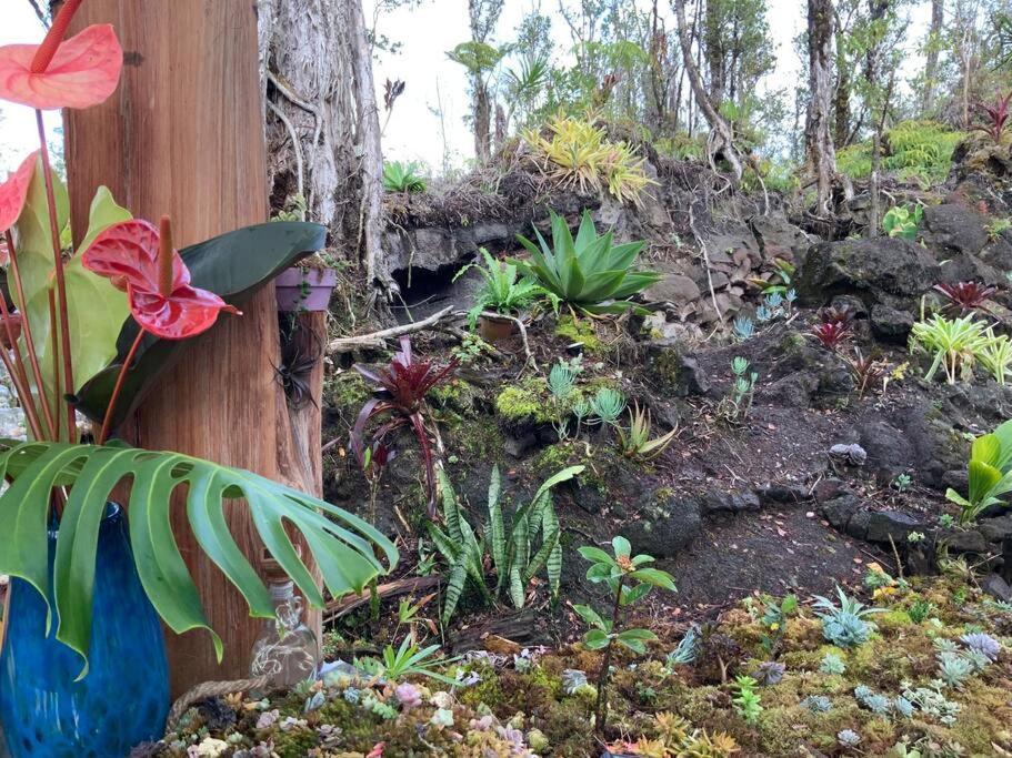 Exotic Garden Cottage At Amazing Volcano Fissure Mountain View Exteriör bild