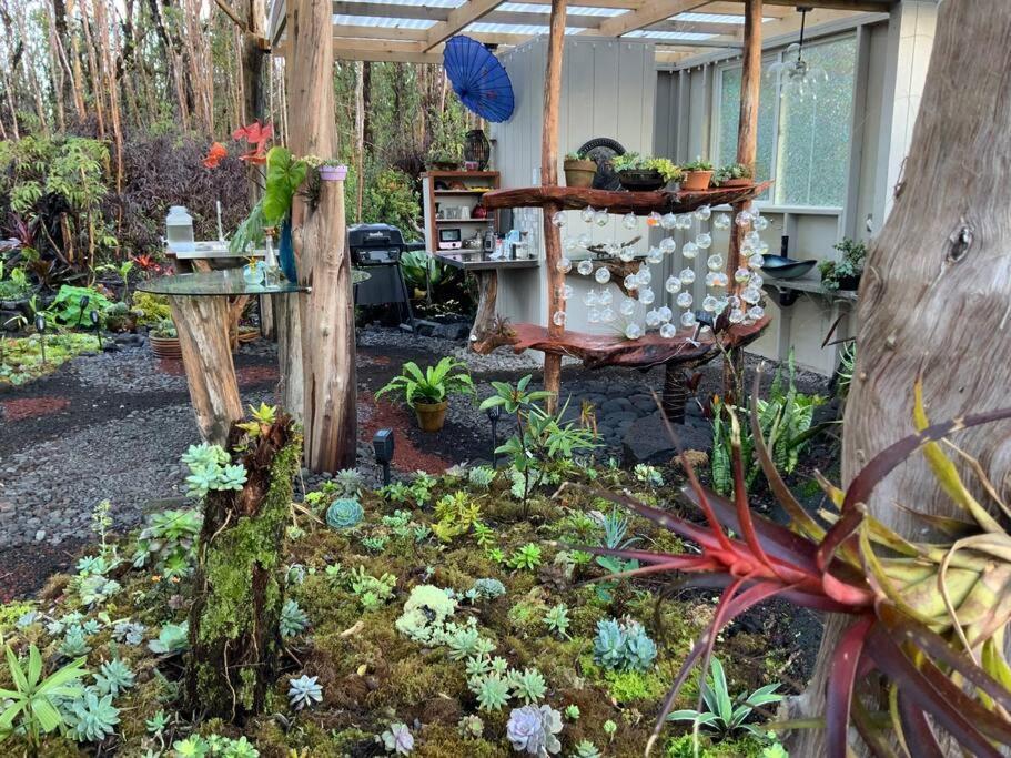 Exotic Garden Cottage At Amazing Volcano Fissure Mountain View Exteriör bild