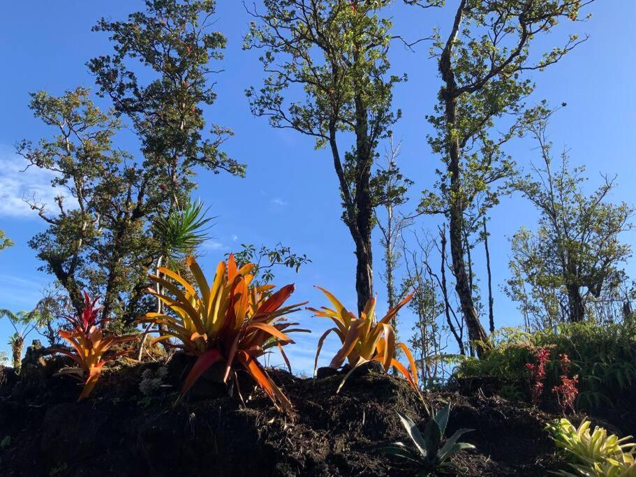 Exotic Garden Cottage At Amazing Volcano Fissure Mountain View Exteriör bild