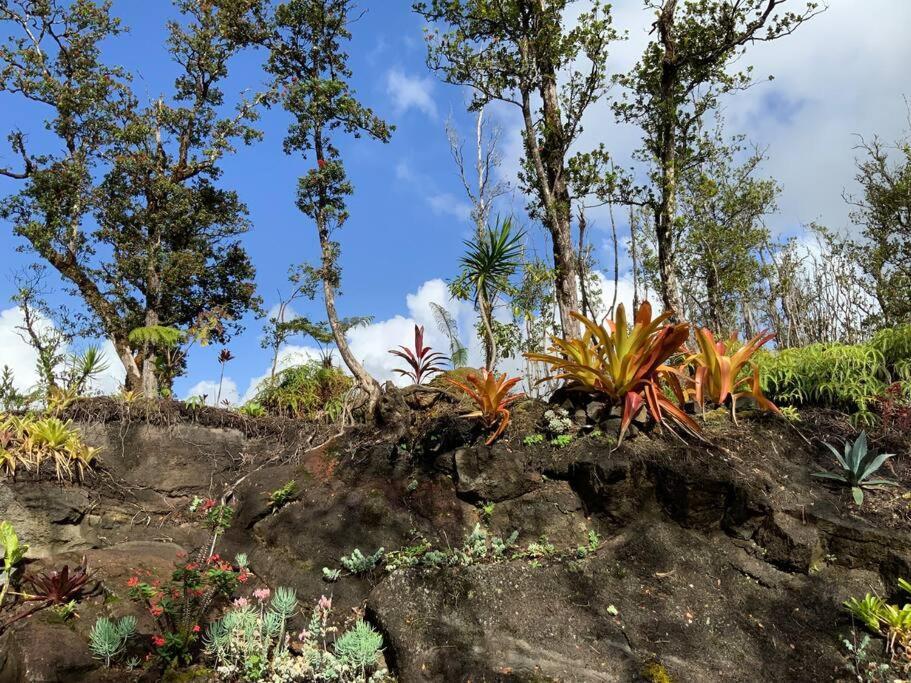 Exotic Garden Cottage At Amazing Volcano Fissure Mountain View Exteriör bild