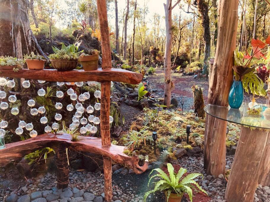 Exotic Garden Cottage At Amazing Volcano Fissure Mountain View Exteriör bild
