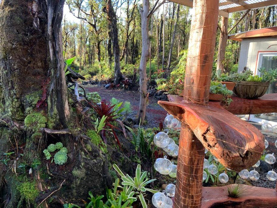 Exotic Garden Cottage At Amazing Volcano Fissure Mountain View Exteriör bild