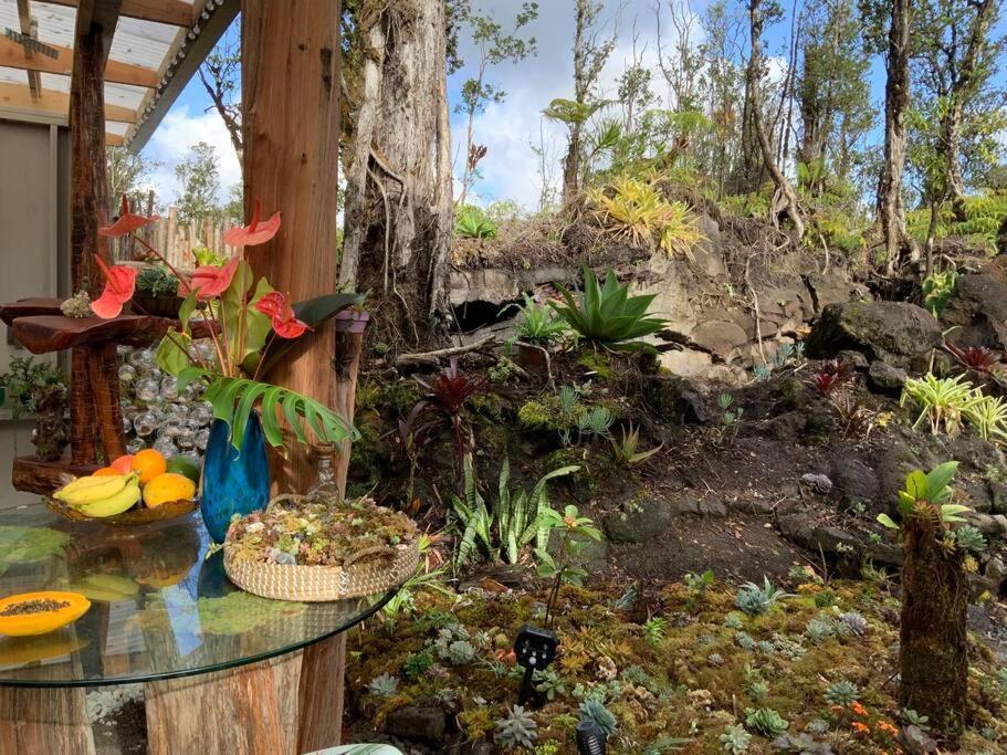 Exotic Garden Cottage At Amazing Volcano Fissure Mountain View Exteriör bild