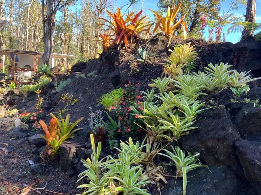 Exotic Garden Cottage At Amazing Volcano Fissure Mountain View Exteriör bild