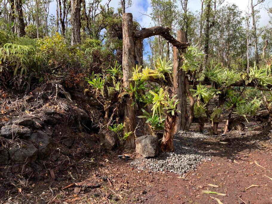 Exotic Garden Cottage At Amazing Volcano Fissure Mountain View Exteriör bild