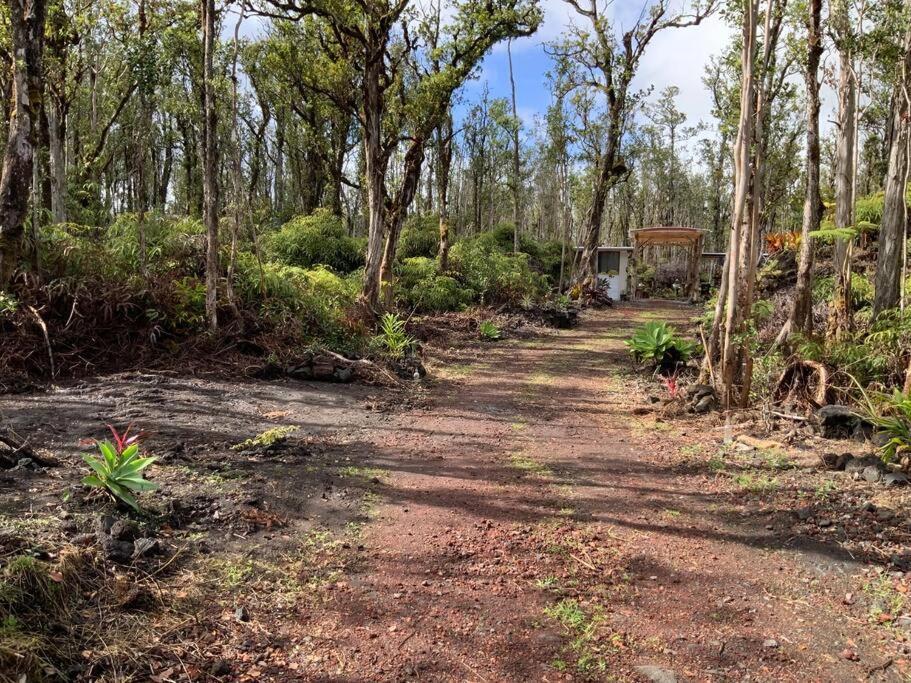 Exotic Garden Cottage At Amazing Volcano Fissure Mountain View Exteriör bild